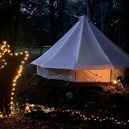 Bivouac Loups Espace Rambouillet Parc Forestier Et Animalier