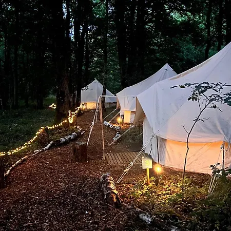 Bivouac Loups Espace Rambouillet Parc Forestier Et Animalier