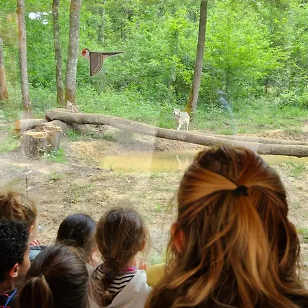 Bivouac Loups Espace Rambouillet Parc Forestier Et Animalier